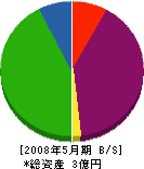 ティーテック 貸借対照表 2008年5月期 ティーテック 貸借対照表 2008年5月期