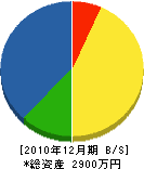 山一工務店 貸借対照表 2010年12月期 山一工務店 貸借対照表 2010年12月期