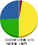 田辺畳店 貸借対照表 2009年12月期 田辺畳店 貸借対照表 2009年12月期