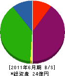 たなべ物産 貸借対照表 2011年6月期 たなべ物産 貸借対照表 2011年6月期