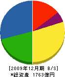 ホシザキ電機 貸借対照表 2009年12月期 ホシザキ電機 貸借対照表 2009年12月期