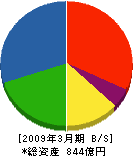 佐世保重工業 貸借対照表 2009年3月期 佐世保重工業 貸借対照表 2009年3月期