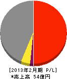 リンペイ 損益計算書 2013年2月期 リンペイ 損益計算書 2013年2月期