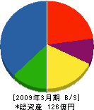 林建設 貸借対照表 2009年3月期 林建設 貸借対照表 2009年3月期