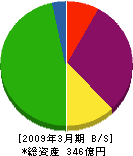 新都市センター開発 貸借対照表 2009年3月期 新都市センター開発 貸借対照表 2009年3月期