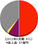 若生工業 損益計算書 2012年6月期 若生工業 損益計算書 2012年6月期