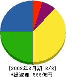 アイネス 貸借対照表 2008年3月期 アイネス 貸借対照表 2008年3月期
