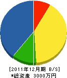 西*工業 貸借対照表 2011年12月期 西*工業 貸借対照表 2011年12月期