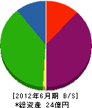 たなべ物産 貸借対照表 2012年6月期 たなべ物産 貸借対照表 2012年6月期