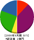 東川建設 貸借対照表 2008年9月期 東川建設 貸借対照表 2008年9月期