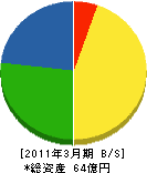 アイピー21 貸借対照表 2011年3月期 アイピー21 貸借対照表 2011年3月期