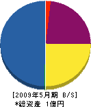 大昭和建設 貸借対照表 2009年5月期 大昭和建設 貸借対照表 2009年5月期