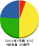 アイピー21 貸借対照表 2012年3月期 アイピー21 貸借対照表 2012年3月期