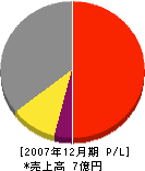 デクスキューブ 損益計算書 2007年12月期 デクスキューブ 損益計算書 2007年12月期