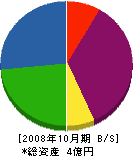 楠建設工業 貸借対照表 2008年10月期 楠建設工業 貸借対照表 2008年10月期
