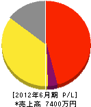 大城エンジニアリング 損益計算書 2012年6月期 大城エンジニアリング 損益計算書 2012年6月期