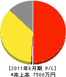 大城エンジニアリング 損益計算書 2011年6月期 大城エンジニアリング 損益計算書 2011年6月期