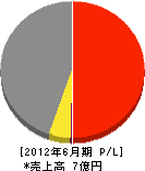 シンエー 損益計算書 2012年6月期 シンエー 損益計算書 2012年6月期