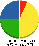 鈴木健治 貸借対照表 2009年12月期 鈴木健治 貸借対照表 2009年12月期