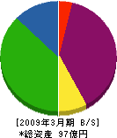 丸末 貸借対照表 2009年3月期 丸末 貸借対照表 2009年3月期