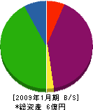寿永商事 貸借対照表 2009年1月期 寿永商事 貸借対照表 2009年1月期