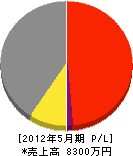 シーテック 損益計算書 2012年5月期 シーテック 損益計算書 2012年5月期