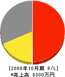 ベスト企画 損益計算書 2008年10月期 ベスト企画 損益計算書 2008年10月期