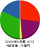 篠田屋 貸借対照表 2008年6月期 篠田屋 貸借対照表 2008年6月期
