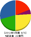 大三洋行 貸借対照表 2012年9月期 大三洋行 貸借対照表 2012年9月期