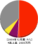 磯部工務店 損益計算書 2009年12月期 磯部工務店 損益計算書 2009年12月期
