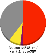 阪口組 損益計算書 2009年12月期 阪口組 損益計算書 2009年12月期