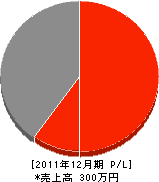 富士建設 損益計算書 2011年12月期 富士建設 損益計算書 2011年12月期