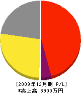 辰巳水道設備工業所 損益計算書 2009年12月期 辰巳水道設備工業所 損益計算書 2009年12月期