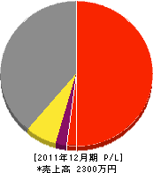 丸尾電気商会 損益計算書 2011年12月期 丸尾電気商会 損益計算書 2011年12月期
