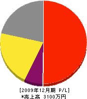 安藤工業 損益計算書 2009年12月期 安藤工業 損益計算書 2009年12月期