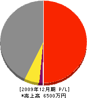 宮本組 損益計算書 2009年12月期 宮本組 損益計算書 2009年12月期