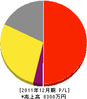 カネサ 損益計算書 2011年12月期 カネサ 損益計算書 2011年12月期