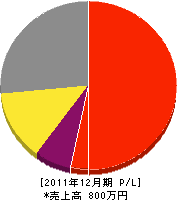大井川順男 損益計算書 2011年12月期 大井川順男 損益計算書 2011年12月期