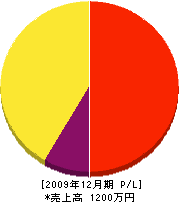 野付緑創 損益計算書 2009年12月期 野付緑創 損益計算書 2009年12月期