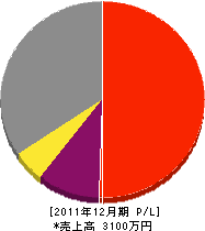 竹村建築事務所 損益計算書 2011年12月期 竹村建築事務所 損益計算書 2011年12月期
