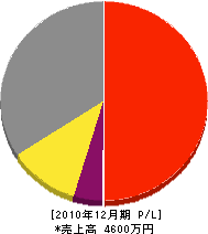 西本建設 損益計算書 2010年12月期 西本建設 損益計算書 2010年12月期
