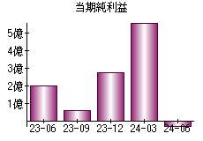 当期純利益