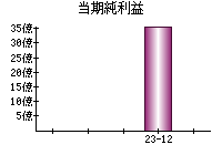 当期純利益