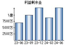 利益剰余金