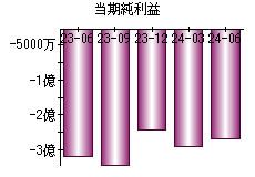 当期純利益