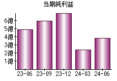 当期純利益