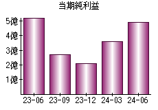 当期純利益