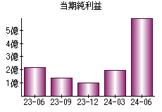 当期純利益