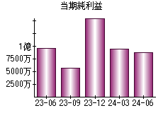 当期純利益