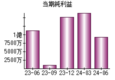 当期純利益